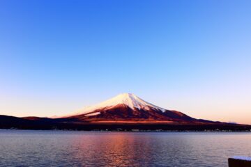 新年のご挨拶の画像